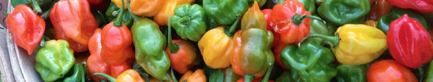 Chile Peppers Bounty | PKWay